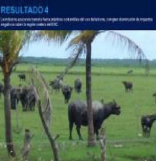 Por la conservación de nuestras costas y sus comunidades