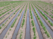 Algo detiene bendicion