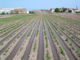 ALGO DETIENE TU BENDICION