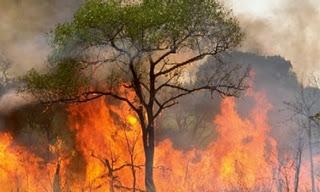 El fuego vuelve a arrasar España, pero los datos mejoran hasta octubre de 2011