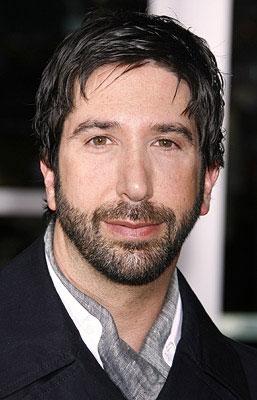 David Schwimmer en The Iceman