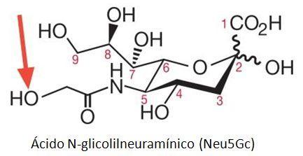 Ácido N-glicolilneuramínico (Neu5Gc) Ácido N-glicolilneuramínico (Neu5Gc)