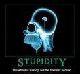 poder estupidez