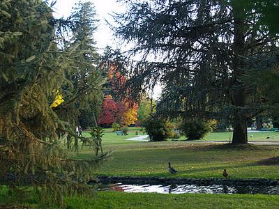 Jardín Massey en Tarbes Jardín Massey en Tarbes