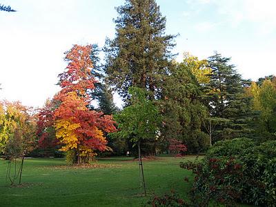 Jardín Massey en Tarbes