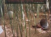 Colección Gori-Fattoria Celle