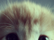 Pequeñas acotaciones gran importancia