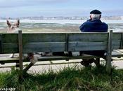 Terapia para mayores perros abandonados Gandia