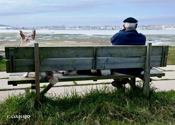 TERAPIA PARA MAYORES CON PERROS ABANDONADOS EN GANDIA