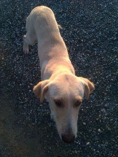 Se retuerce de dolor. En la calle.