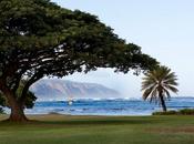Reef Hawaiian 2011
