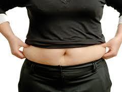 Tejido adiposo: depósito de energía