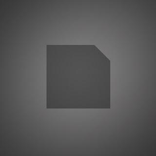 Powell - The Ongoing Significance Of Steel & Flesh (Diagonal,2011)