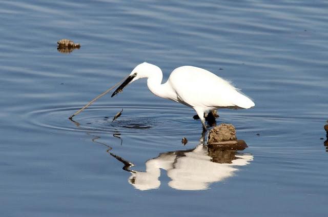 SÁBADO MUY DIVERTIDO-SATURDAY VERY FUN