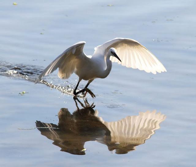 SÁBADO MUY DIVERTIDO-SATURDAY VERY FUN