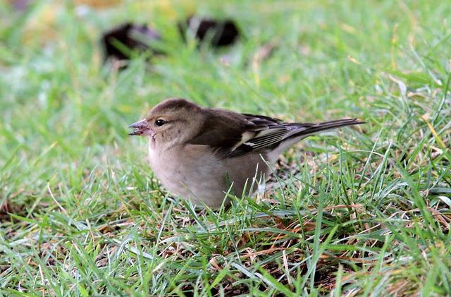 SÁBADO MUY DIVERTIDO-SATURDAY VERY FUN