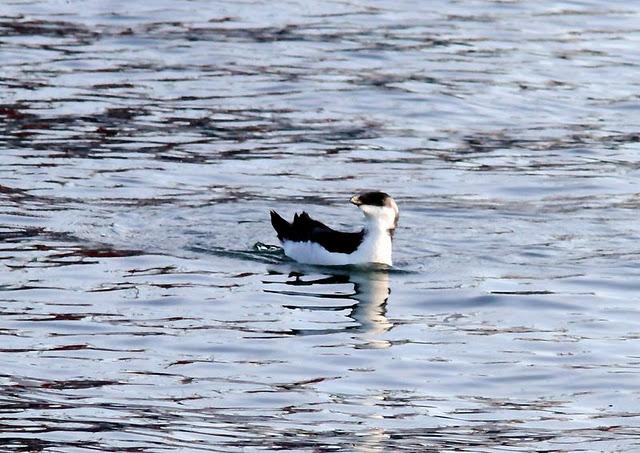 SÁBADO MUY DIVERTIDO-SATURDAY VERY FUN