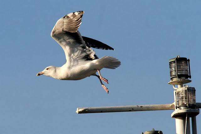 SÁBADO MUY DIVERTIDO-SATURDAY VERY FUN