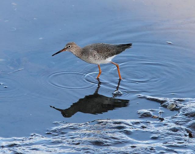 SÁBADO MUY DIVERTIDO-SATURDAY VERY FUN