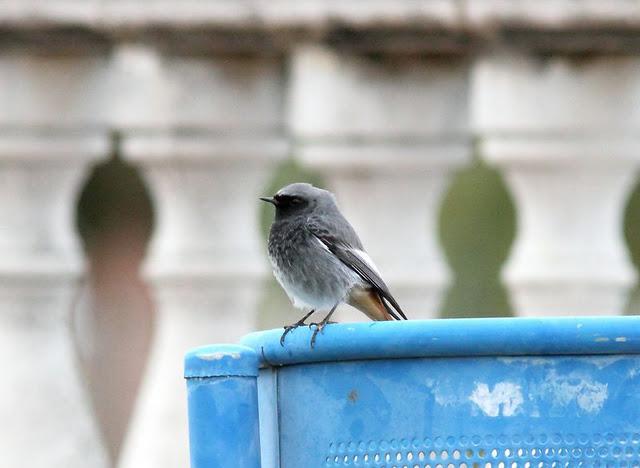 SÁBADO MUY DIVERTIDO-SATURDAY VERY FUN