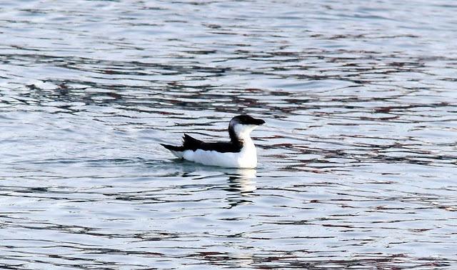 SÁBADO MUY DIVERTIDO-SATURDAY VERY FUN