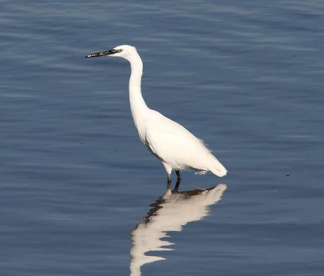 SÁBADO MUY DIVERTIDO-SATURDAY VERY FUN