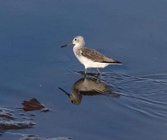 SÁBADO MUY DIVERTIDO-SATURDAY VERY FUN