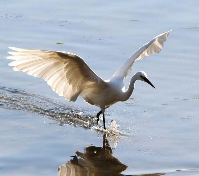 SÁBADO MUY DIVERTIDO-SATURDAY VERY FUN