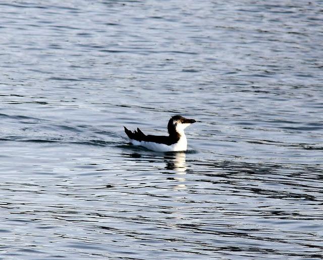 SÁBADO MUY DIVERTIDO-SATURDAY VERY FUN