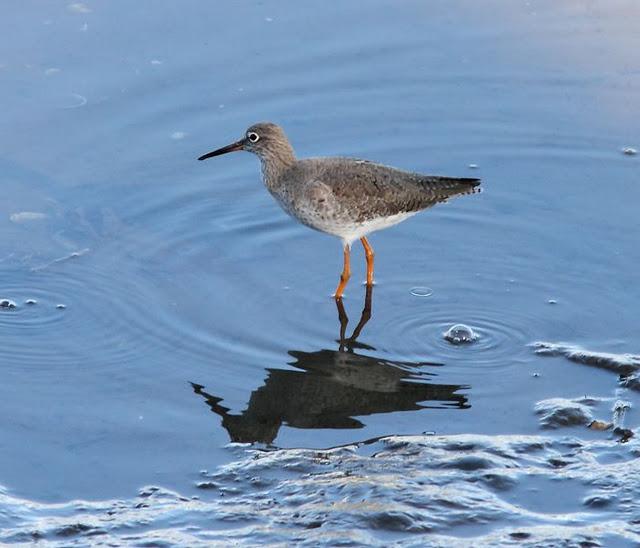 SÁBADO MUY DIVERTIDO-SATURDAY VERY FUN