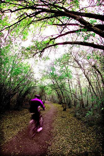 En bici por el parque