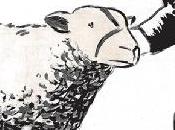 blanco negro, reivindicando color