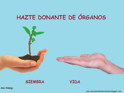 Carteles de donación creados por mi