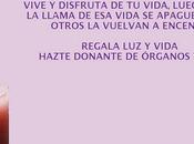 Carteles donación creados