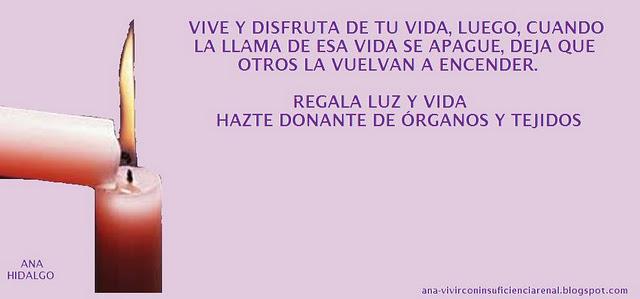 Carteles de donación creados por mi