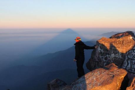 ENTREVISTA: ENTREVISTA: