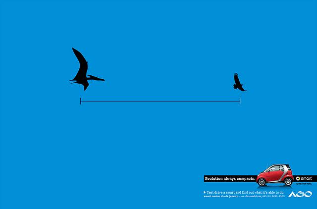 La tendencia hacia lo pequeño