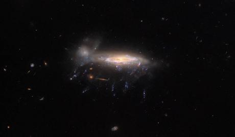Hubble detecta una galaxia medusa con brillantes zarcillos