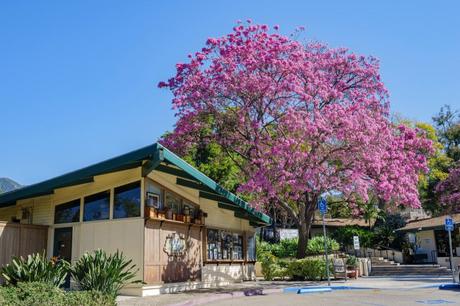 15 mejores cosas que hacer en El Monte (CA)