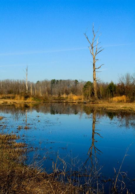 15 mejores cosas que hacer en Alabaster (AL) 15 mejores cosas que hacer en Alabaster (AL)