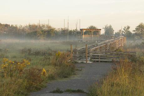 15 mejores cosas que hacer en Alabaster (AL) 15 mejores cosas que hacer en Alabaster (AL)