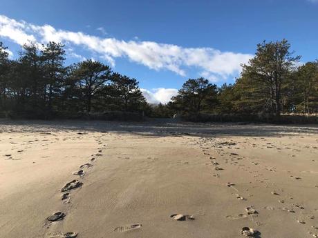 Parque estatal Ferry Beach