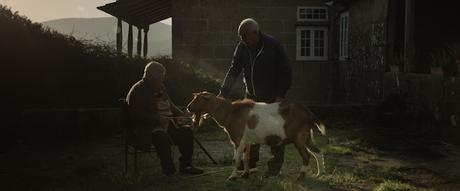 Visions du Réel 2023 - Parte 2: Lazos familiares