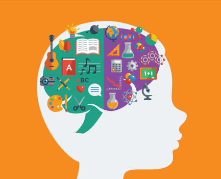 La mente es maravillosa: 8 datos increíbles que te sorprenderán cerebro del niño