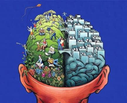 La mente es maravillosa: 8 datos increíbles que te sorprenderán hemisferios del cerebro