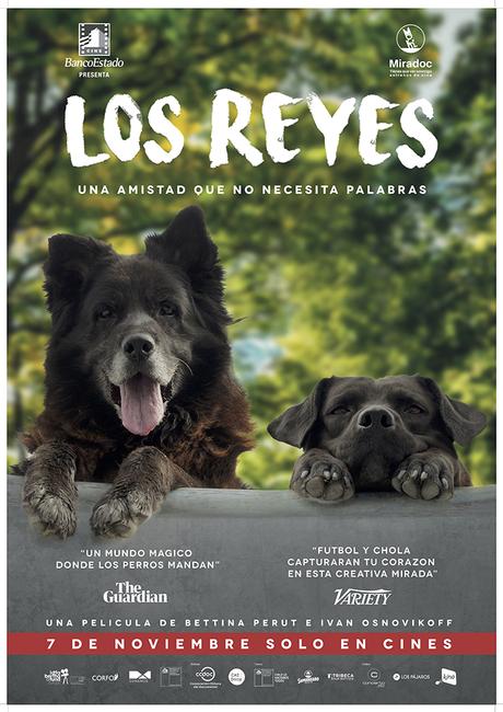 Los Reyes cierra especial de Animales Protagónicos en Centro Arte Alameda