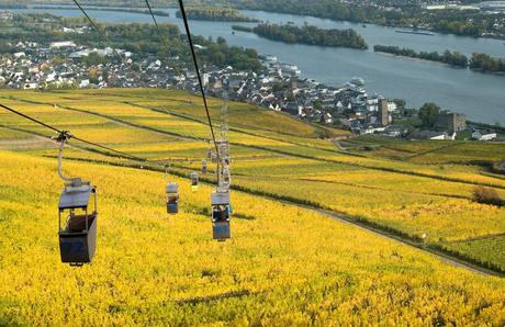 15 mejores cosas que hacer en Rüdesheim am Rhein (Alemania)