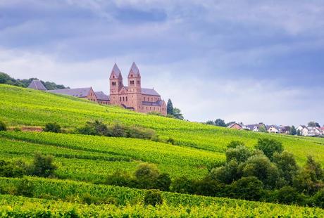 15 mejores cosas que hacer en Rüdesheim am Rhein (Alemania)