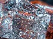 cinco #curiosidades debes saber sobre #refresco