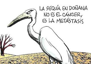 Del fracaso de las democracias